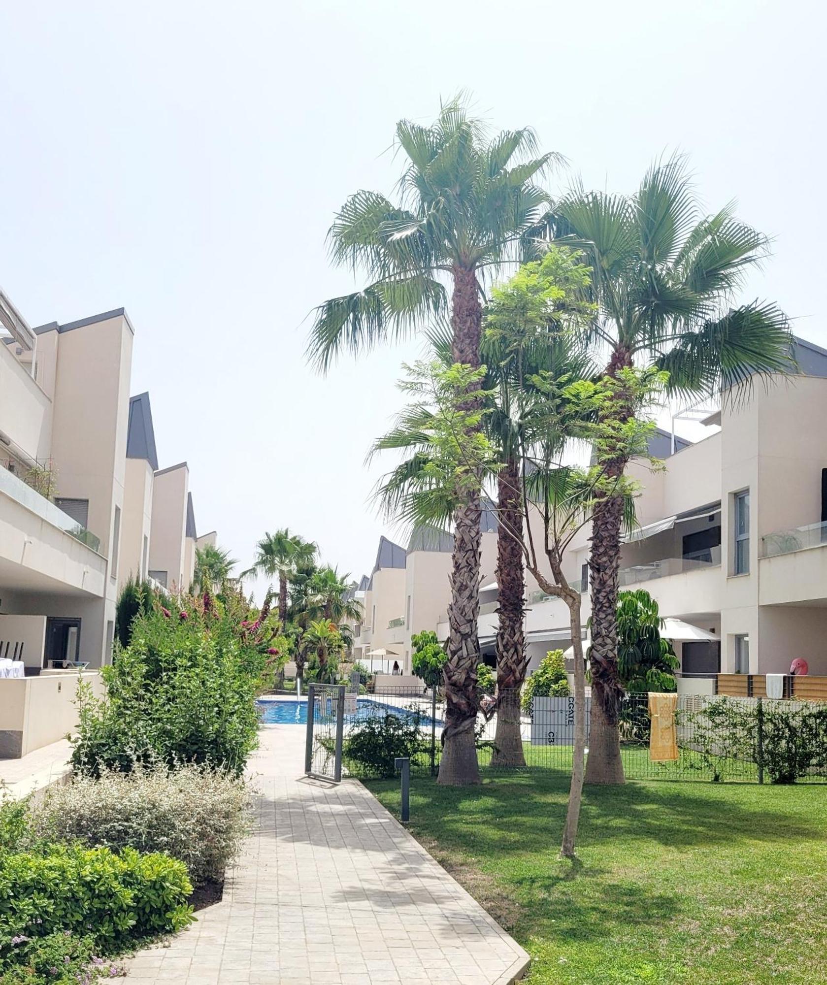 Pmt01 - Modern, Luxury With Heated Pool Lägenhet Torrevieja Exteriör bild